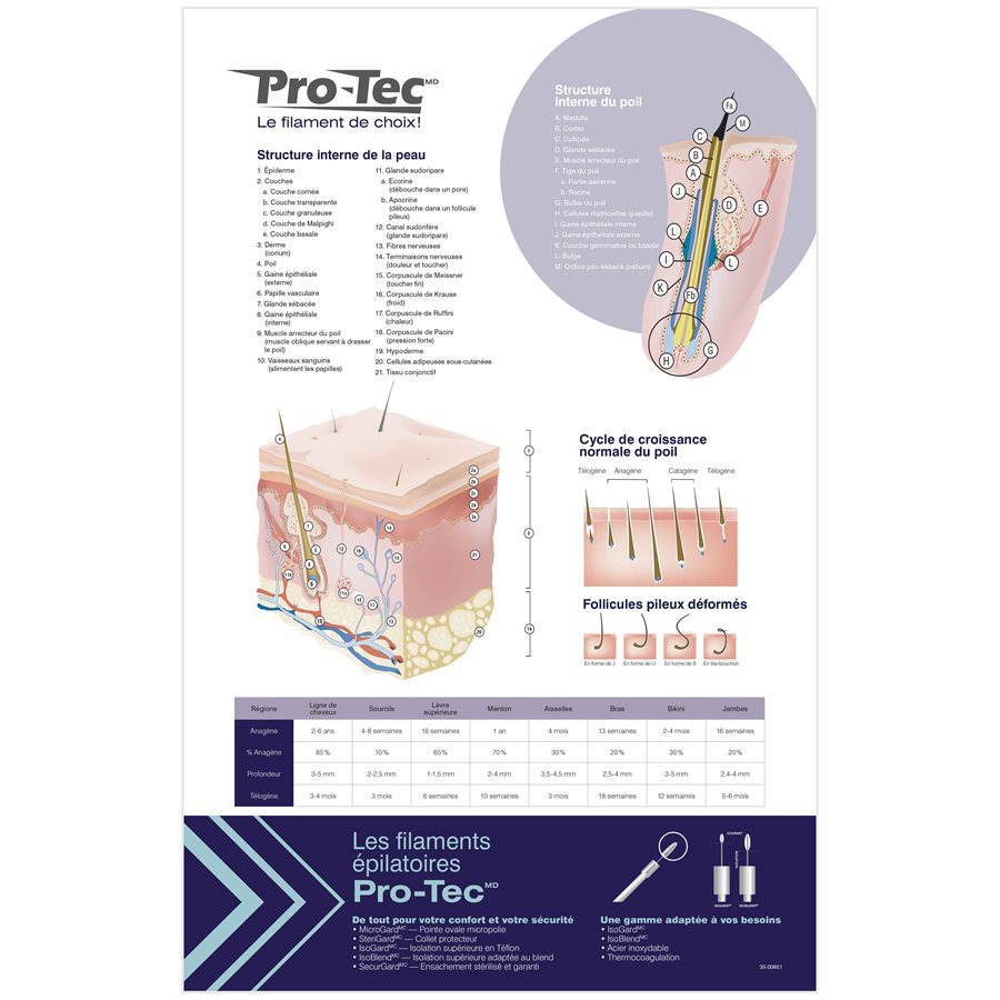 Poster ProTec Guide Large